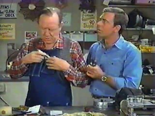 Mayberry RFD - S03E06 - Hair (1)