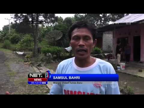 Lahan dan Kebun di Aceh Rusak Akibat Gajah Liar - NET 5