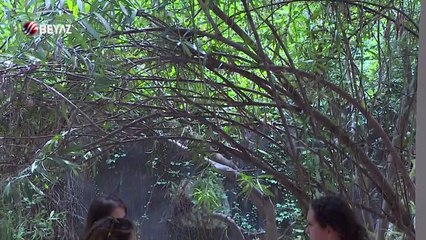 Nerede Ne Yesek 5 Ağustos 2017