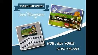Yogies Biocypress PLI-World | 0815-7109-993 | Biocypress Surabaya