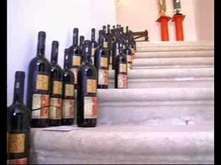 Parco d' arte: "La Quercia dei 99 cavalieri"