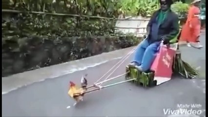 Whatsapp Funny videos Compilation Latest | Indian Funny Videos Gone Viral