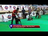 Ratusan Anjing Ikuti Kontes Bali Dog Show - NET24