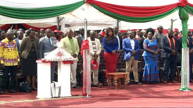 Zimbabwe opposition unites to challenge Mugabe