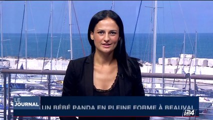 Un bébé panda en pleine forme au Zoo de Beauval