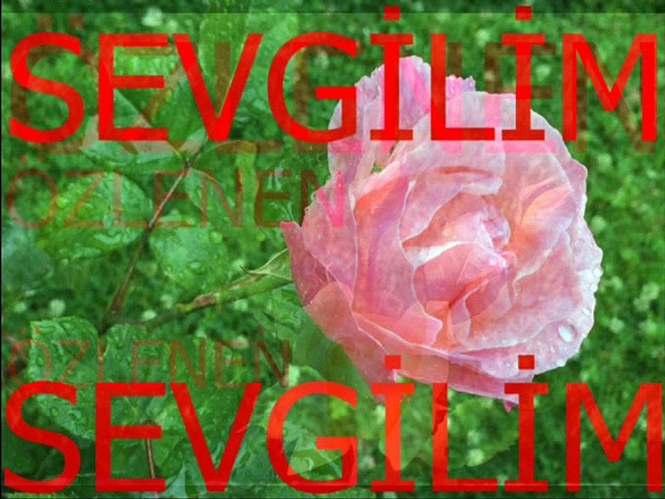 Elâ Altın-Bu Ne Sevgi Ah.Bu Ne Izdırap