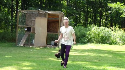 Animals That Hate Humans