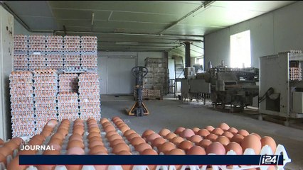 Œufs contaminés : L'inquiétude monte en Europe