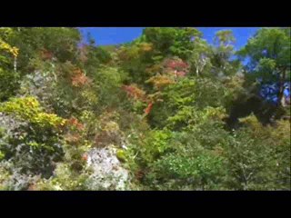 Repentance Baptism - Pt1