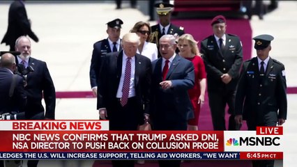 Ron Reagan: Donald Trump Needs To Be Removed From Office | Hardball | MSNBC