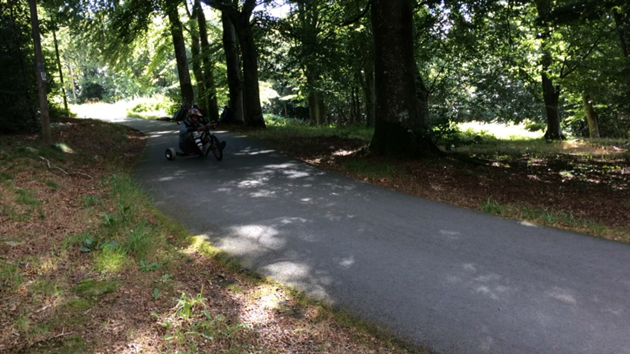 Tricycle de l'extrême avec les Leopards Trike Drift