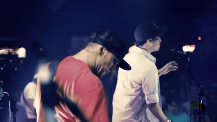 Planta e Raiz - Qual e a cara do ladrao