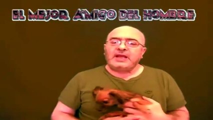 El mejor amigo del hombre