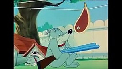 Tom and jerry English Full Episodes - Love That Pup _ Cartoons For Kids English
