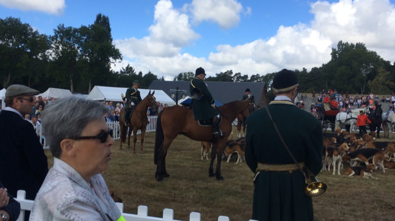 Grand messe de Saint-Hubert à la fête de la chasse
