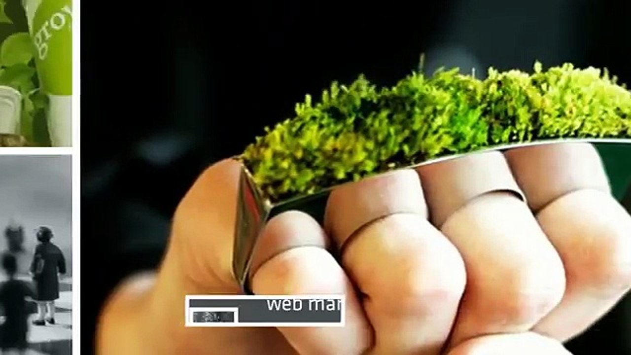 Pushleads has the Best Web Promotion Marketing