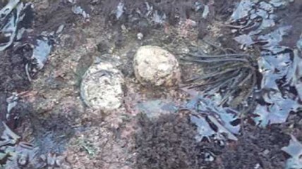 "Full Online" Somewhere Between - Season 1 - Episode 4 | Watch series