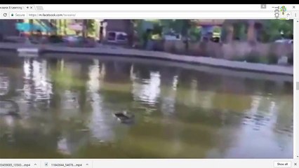 چۆن ڤیدیۆیی فەیسبووک ڕاستەوخۆ لە مۆبیل دابەزێنین؟