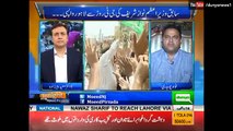 GT road Safar se Nawaz Sharif ko ktna Siasi Faida huga- Fawad Ch's answer