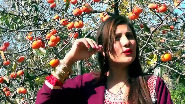Zama Janan Da Ranga Toor day Dilruba pashto new HD SOng