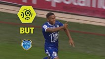 But Samuel GRANDSIR (46ème) / ESTAC Troyes - Stade Rennais FC - (1-1) - (ESTAC-SRFC) / 2017-18