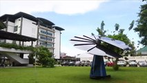 الزهرة الزكية.. جهاز جديد لتوليد الكهرباء بواسطة الطاقة الشمسية