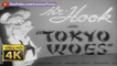 Mr. Hook #3 - Tokyo Woes (1945) US Navy World War II Propaganda Cartoon - Looney Tunes