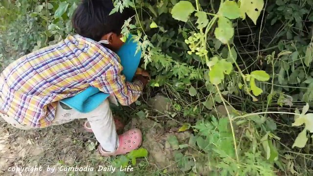 Terrifying!! Two Brothers Catch Extremely Big Snake While Driving Hand Tractor