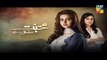 Mohabbat Mushkil Hai Episode 25 HUM TV Drama 4 August 2017