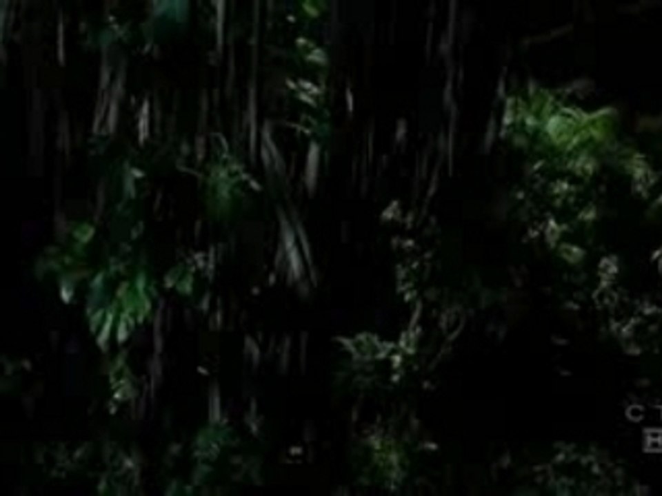 Left behind-Clip10