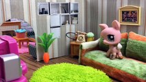 Azra ve Zümranın Maceraları 3.Bölüm - Minişler Cupcake Tv - Littlest Pet Shop -LPS Minişler Türkç