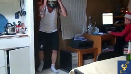 Funny Dogs Scared of Masks - Part 3