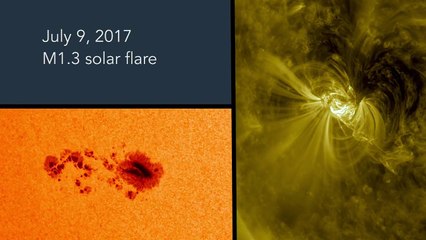 Two Weeks in the Life of a Sunspot - HD