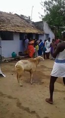 BEST OF FUNNY 2017|| NOW SEE AND ENJOY YOUR DAY GOING