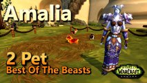 Amalia Best Of The Beasts Family Familiar Fight Night 2 Pet Leveling Strategy