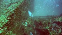 Spear Fisherman Dragged by Goliath Grouper