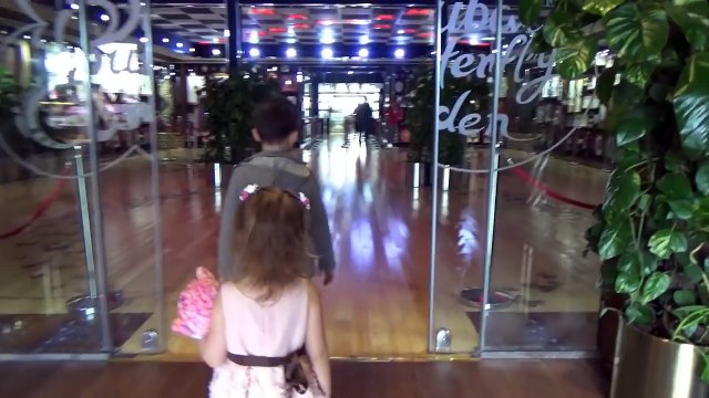 День Рождения Кати Дубаи День #5 катаемся на розовом лимузине Парк Бабочек Dubai