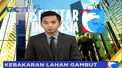 Скачать видео: 50 Hektar Lahan Gambut Ludes Terbakar di Sumatera Selatan