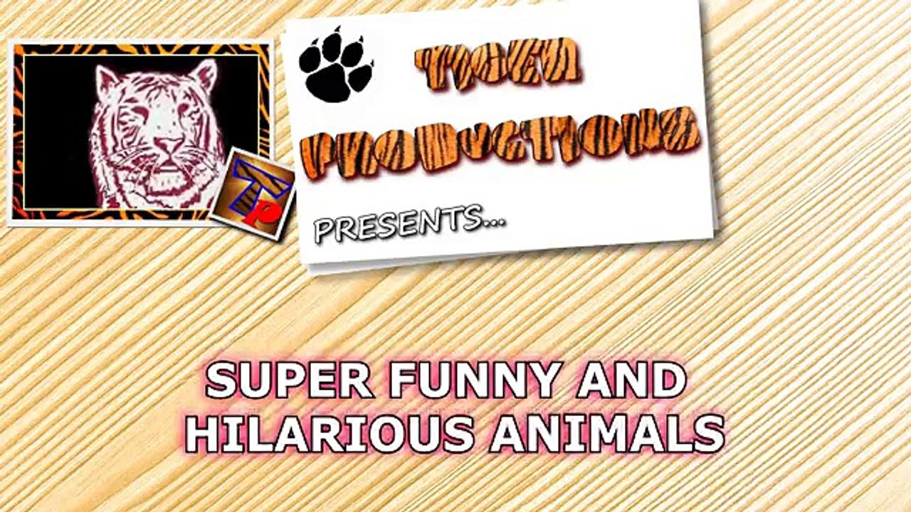 Ultimate_TRY_TO_STOP_LAUGHING_challenge_-_Best_FUNNY_ANIMAL_compilation