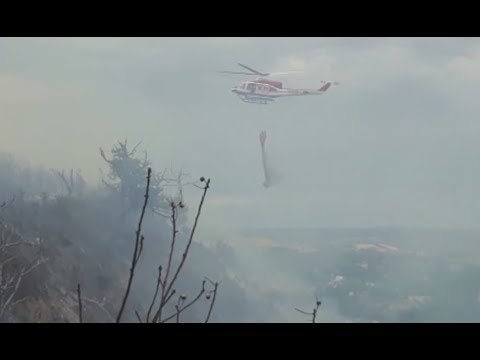 Monterocco (AP) - Incendio boschivo domato dai Vigili del FUoco (26.07.17)