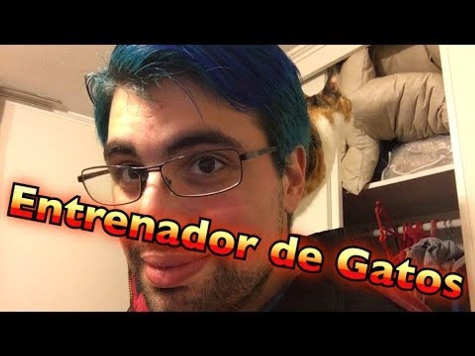 Entrenador de Gatos