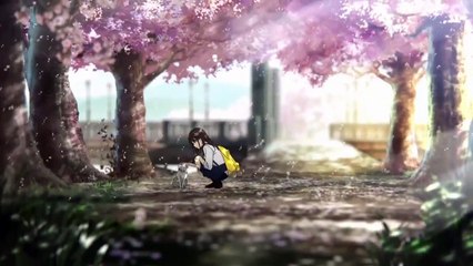 劇場アニメ「君の膵臓をたべたい」予告編（2018年公開）