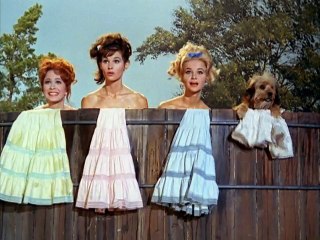 Petticoat Junction S3 E19 - Yogurt, Anyone