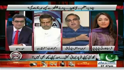 See What Imran Ismail Said On Which Zaeem Qadri Gets Angry
