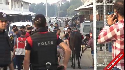 Veliefendi Hipodromu'nda operasyon