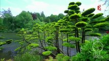 Jardin - Au cœur d'un jardin japonais