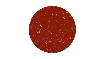 비키니선수 신새롬의 탄력있는 하체 만들기