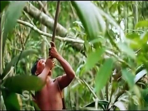 Amazon Tribes | National geographic documentary amazon tribes [NEW]