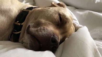 Sleeping Beauty