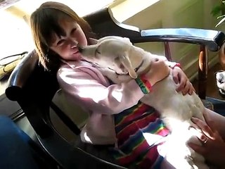 La réaction de cette chienne sauvée de l’euthanasie met vraiment du baume au cœur